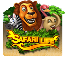 Safari Life SlotXo สล็อตออนไลน์